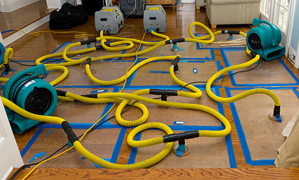 Professional Crawl Space Water Removal technician working in Encinitas, CA
